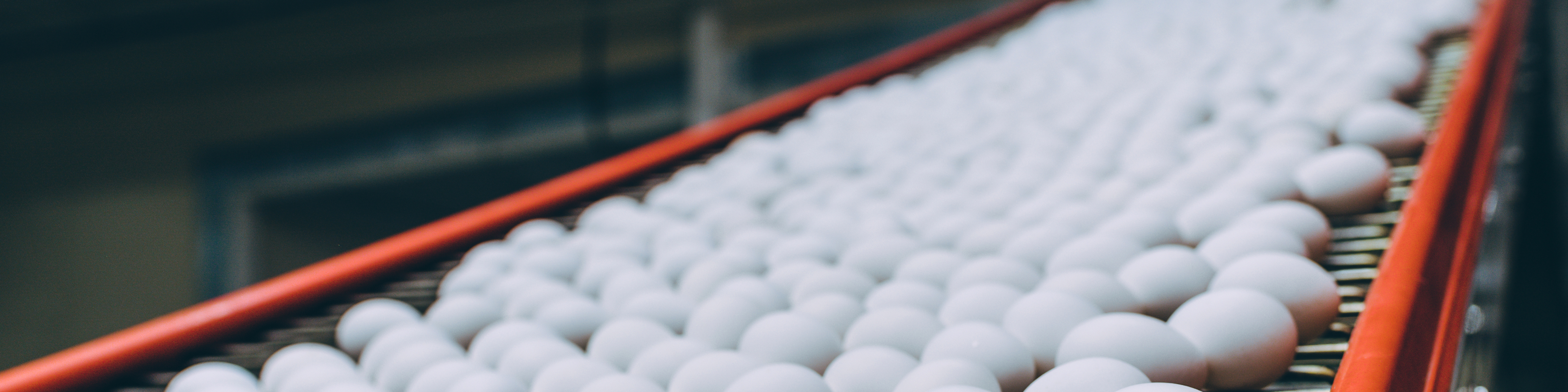 Egg Flow banner 1920x480.png